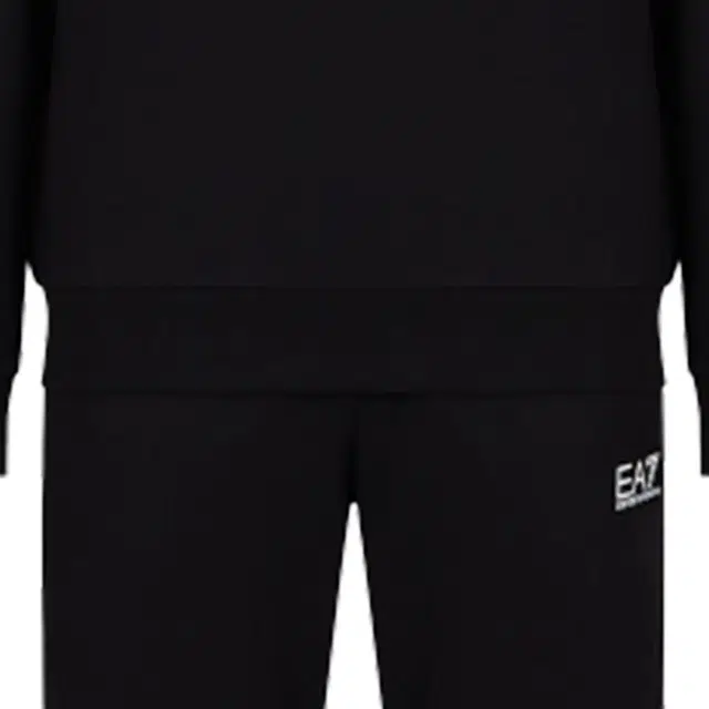 EMPORIO ARMANI EA7 SS24 Logo