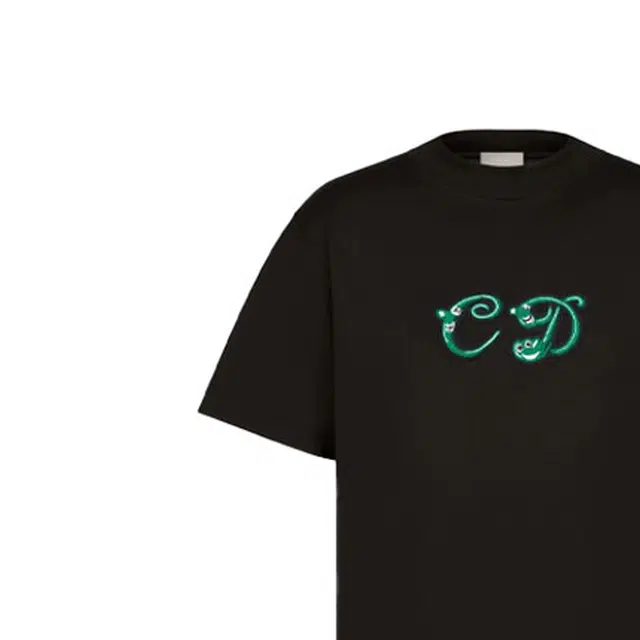 DIOR DIOR T