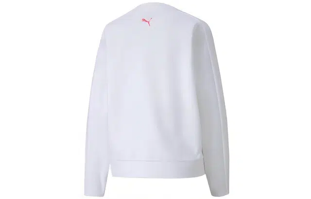 Puma Evide logo