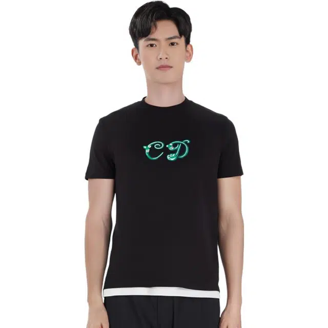 DIOR DIOR T