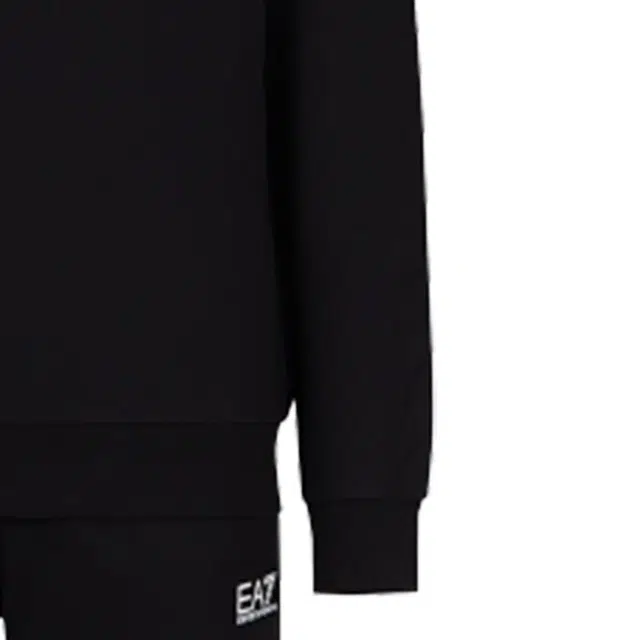 EMPORIO ARMANI EA7 SS24 Logo