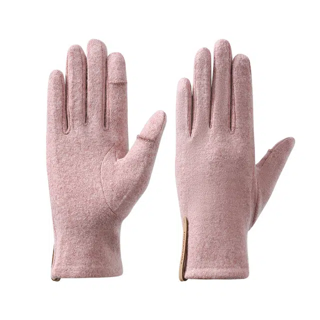 南极人 冬季加绒防风防寒户外骑行电动车开车登山抗寒加厚可触屏 秋冬款 保暖手套 女款