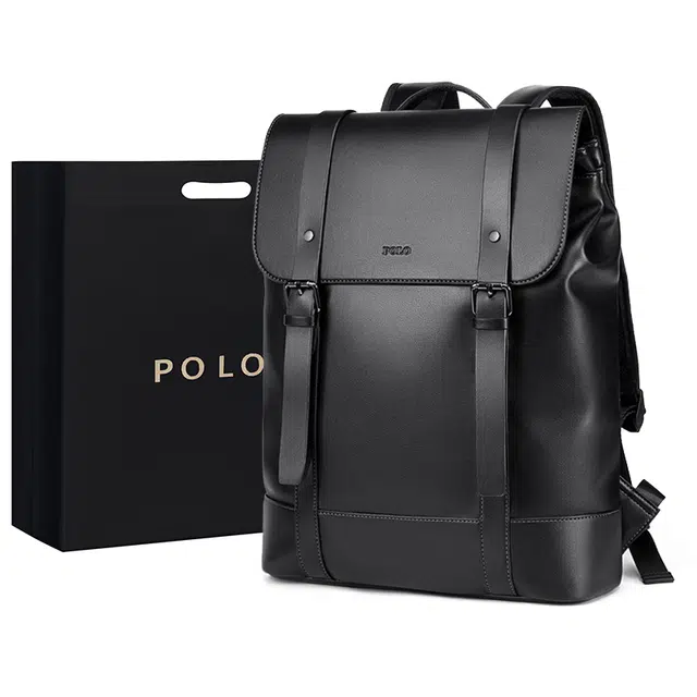 POLO 17.3