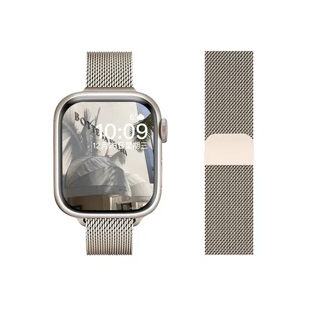 FZRT applewatchiWatchS987