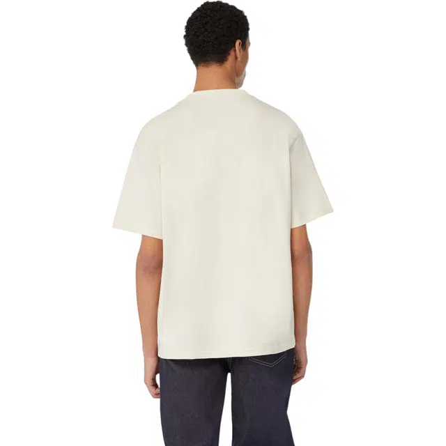 GCDS T