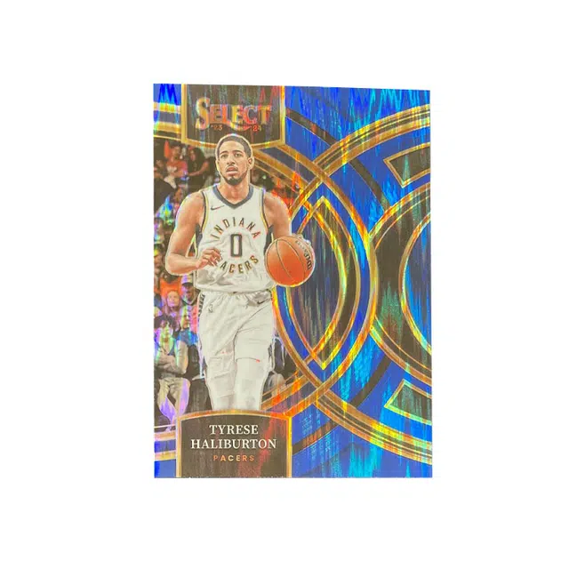 PANINI 2023-24 select 1199