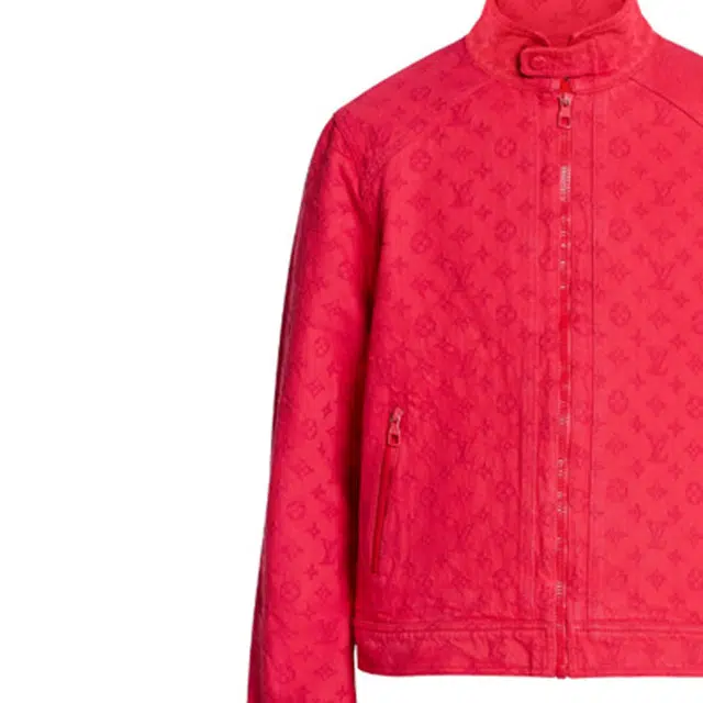 LOUIS VUITTON Monogram
