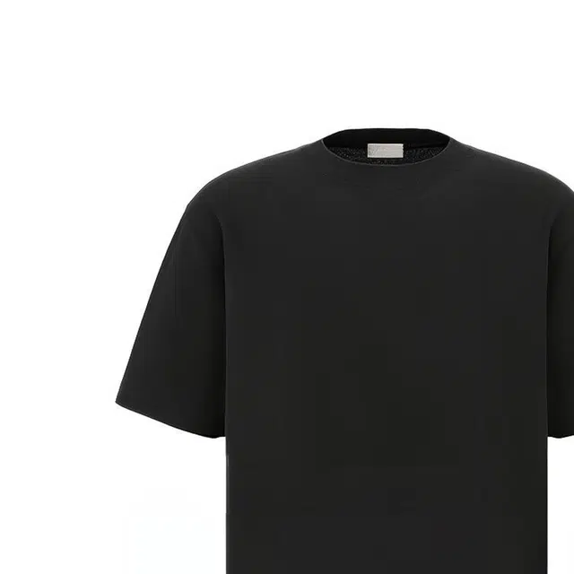DIOR DIOR T