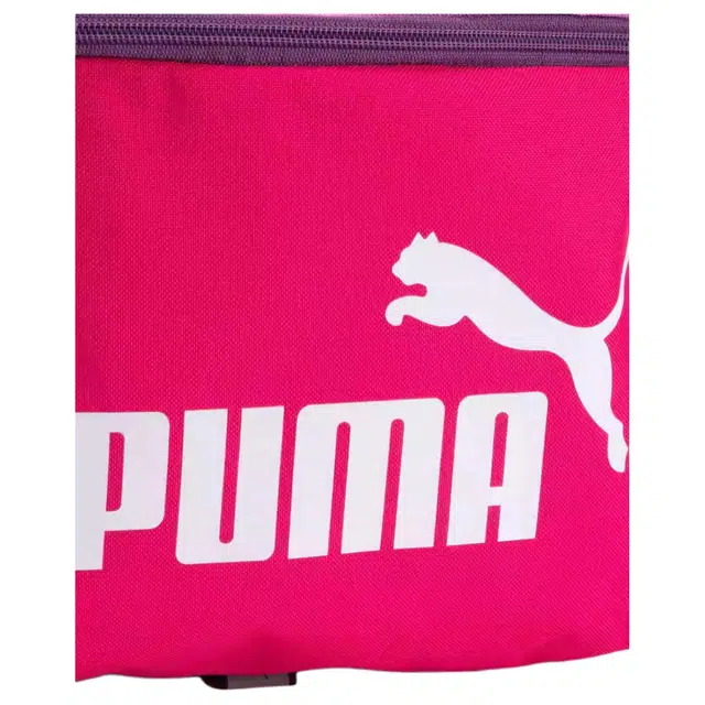 PUMA Phase