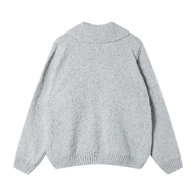 LSVE V