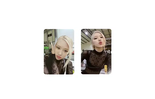 YG Entertainment BLACKPINK BORN PINK D