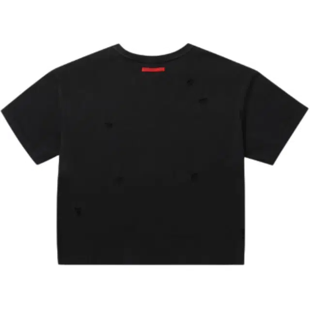 FACEON LAB T