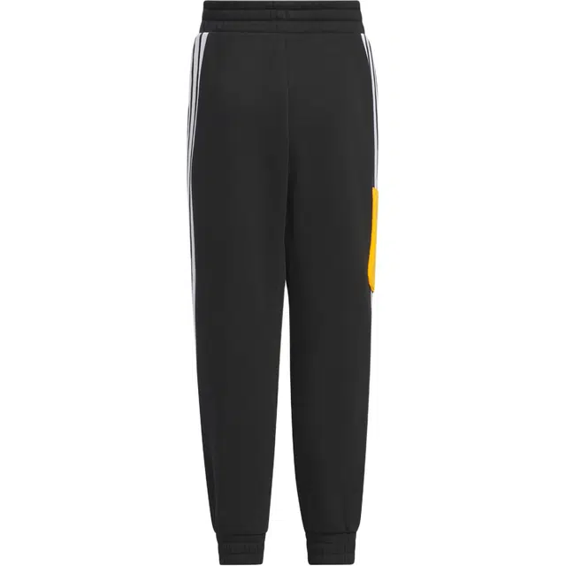 adidas OUTDOOR JOGGERS