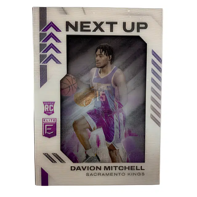 PANINI 2021-22 3D A