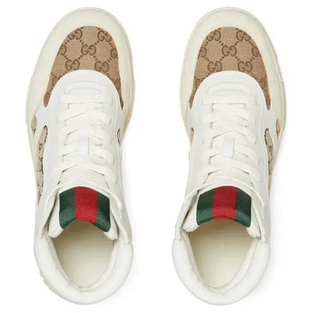 GUCCI Re-Web