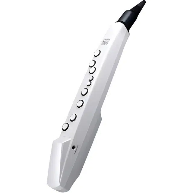 Roland AE01C " Aerophone