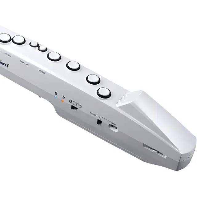 Roland AE01C " Aerophone