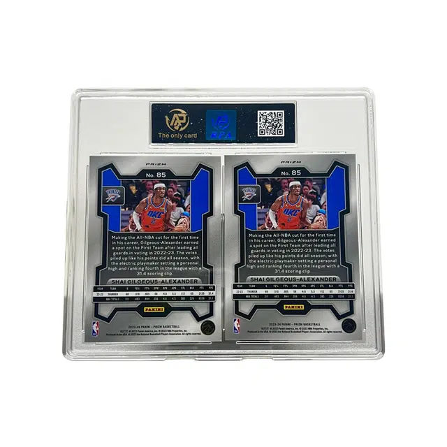 PANINI 10 2