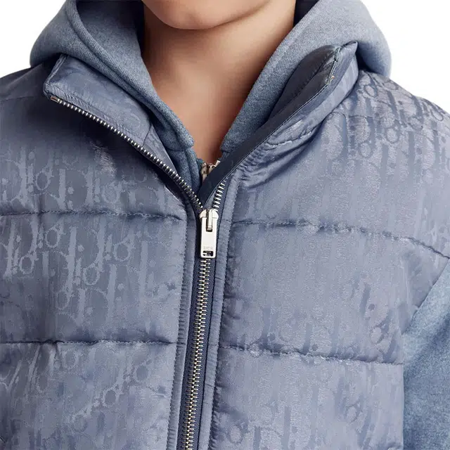 DIOR SS24 Logo