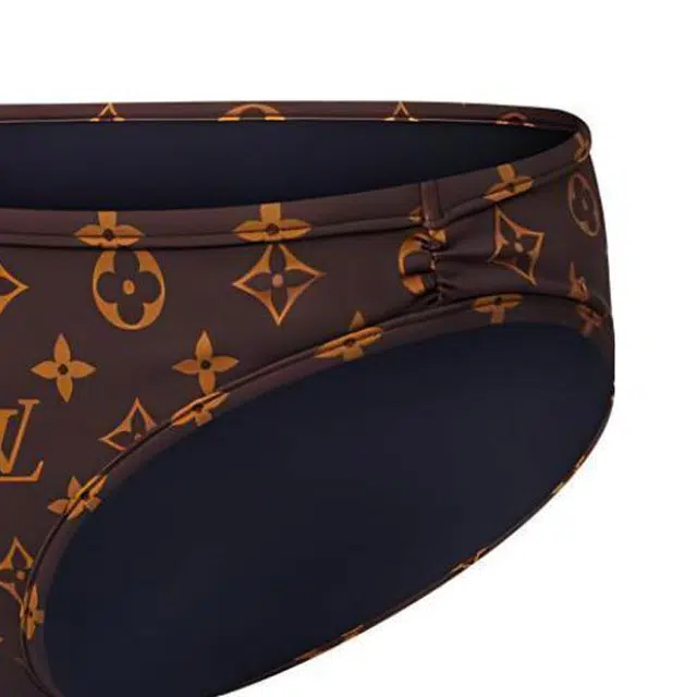 LOUIS VUITTON Monogram Bikini Bottoms Logo 1