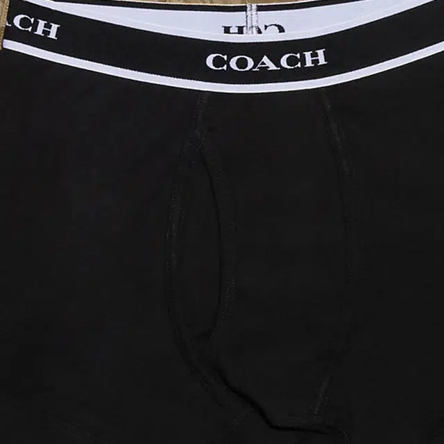 COACH Logo 2