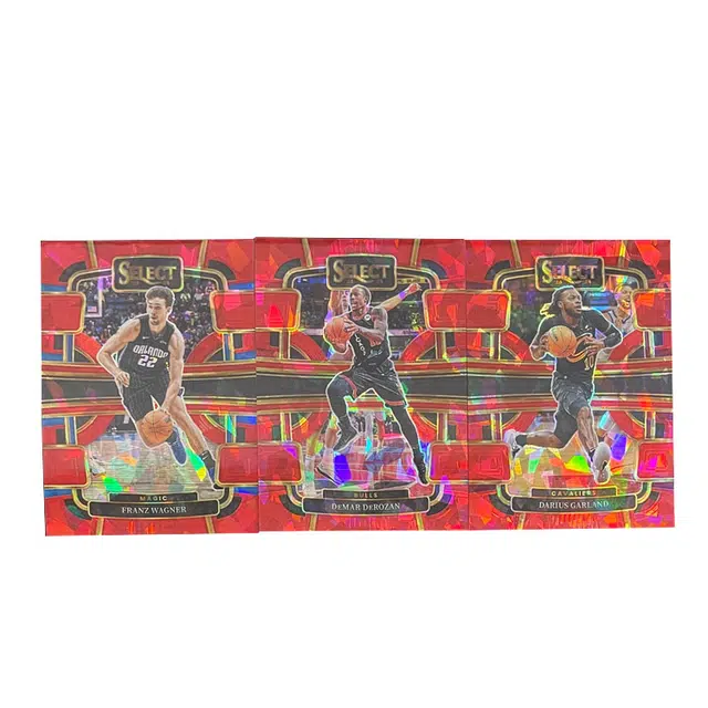 PANINI 2023-24 SELECT