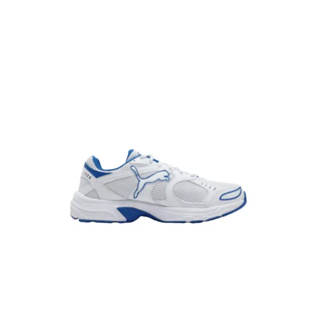 PUMA Axis