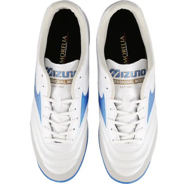 Mizuno