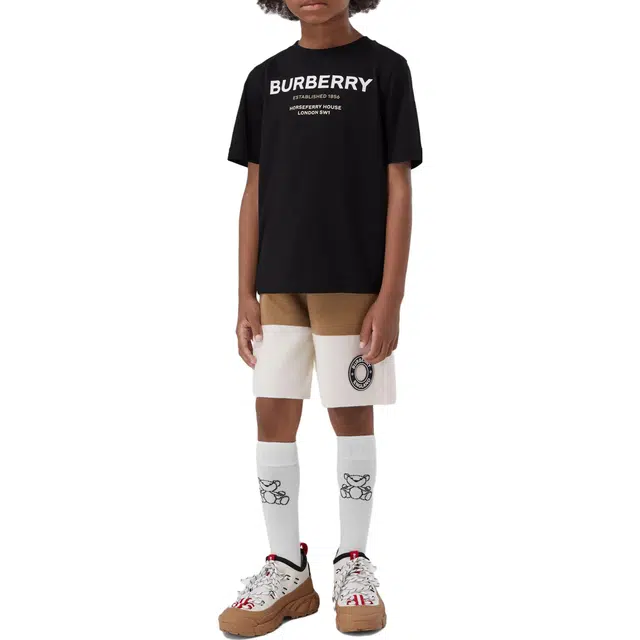 Burberry LogoT