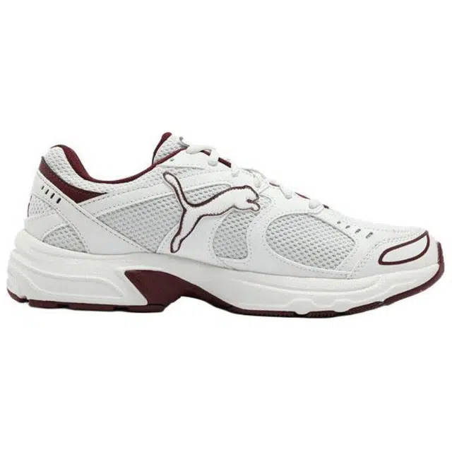 PUMA Axis