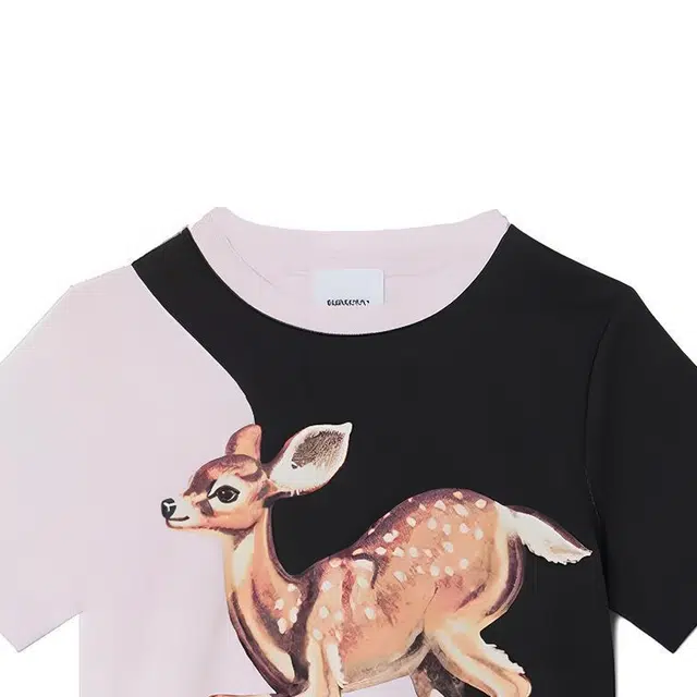 Burberry SS23 LogoT