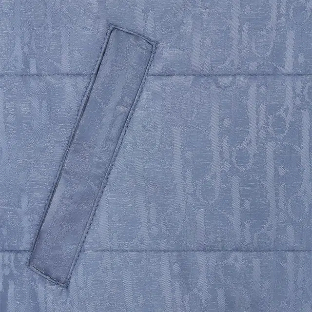 DIOR SS24 Logo