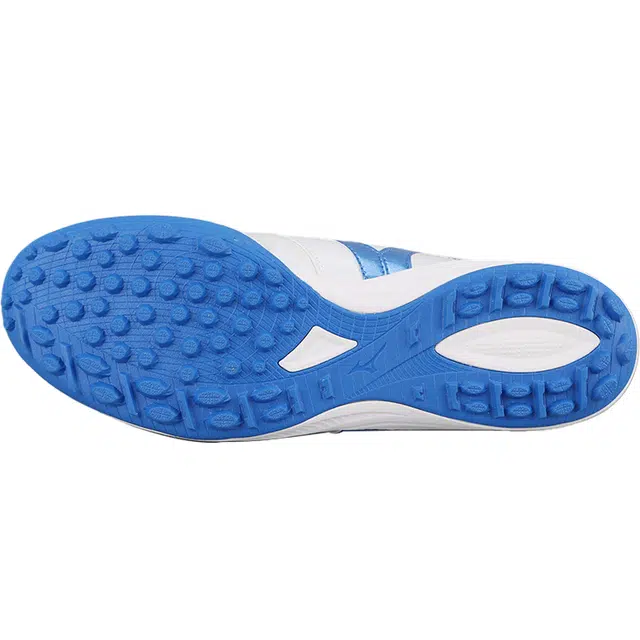 Mizuno
