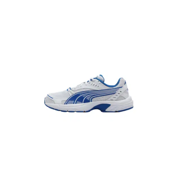 PUMA Axis