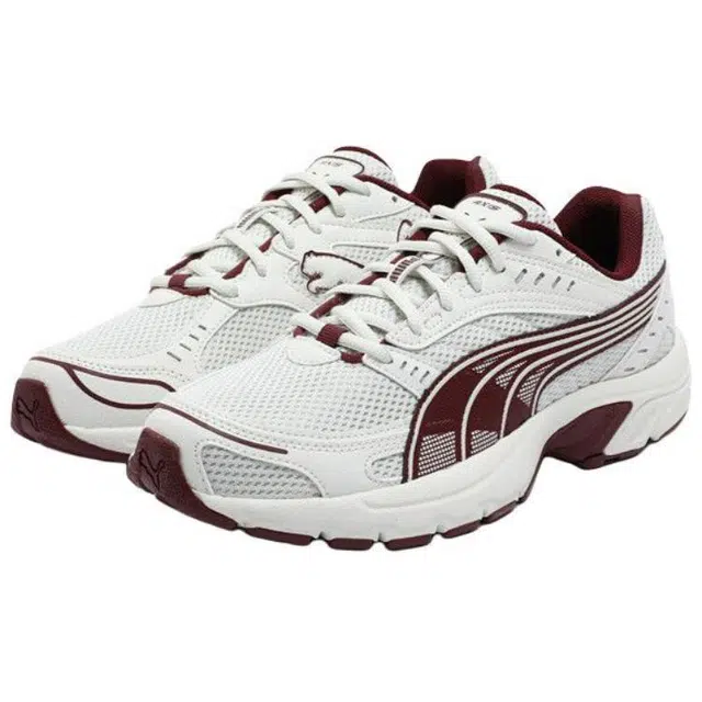 PUMA Axis