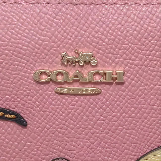 COACH Camera