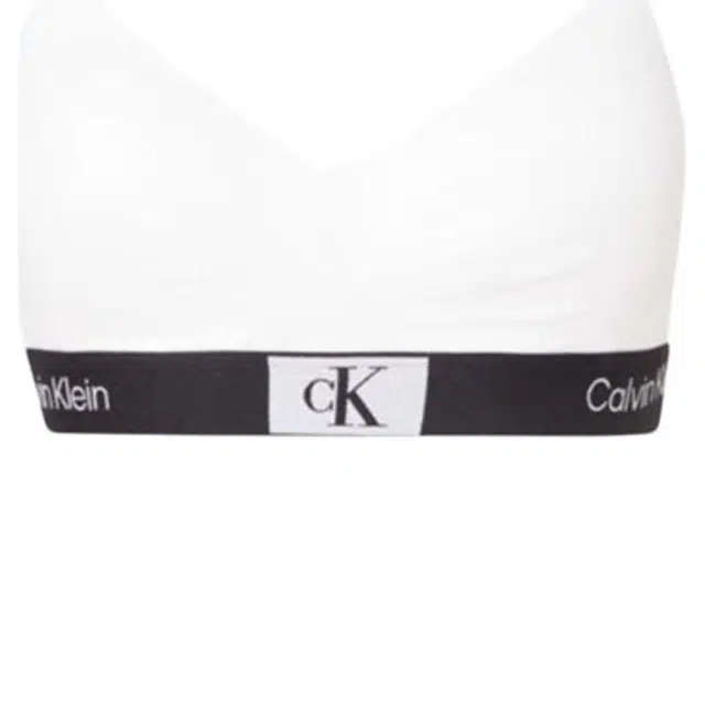 CALVIN KLEIN 1996 Logo