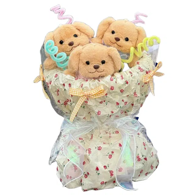 雄俊 超萌超可爱贵宾小狗花束 创意 玩偶周边