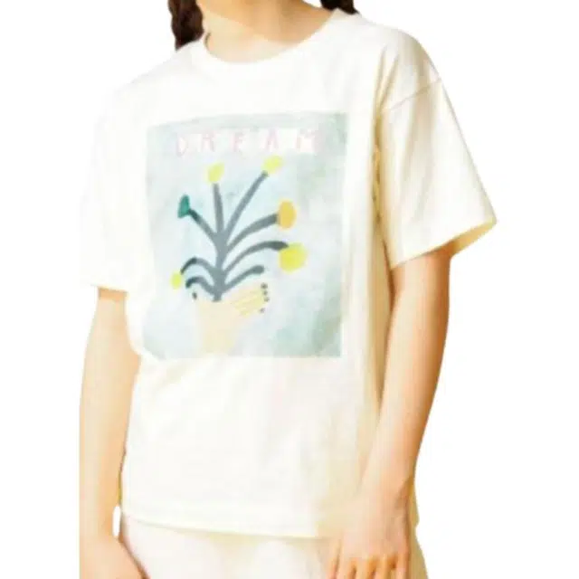 beams T