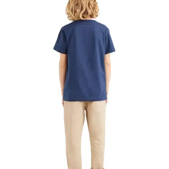 levis Teenager Batwing Tee T