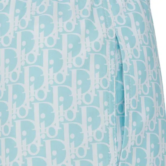 DIOR SS24 Logo