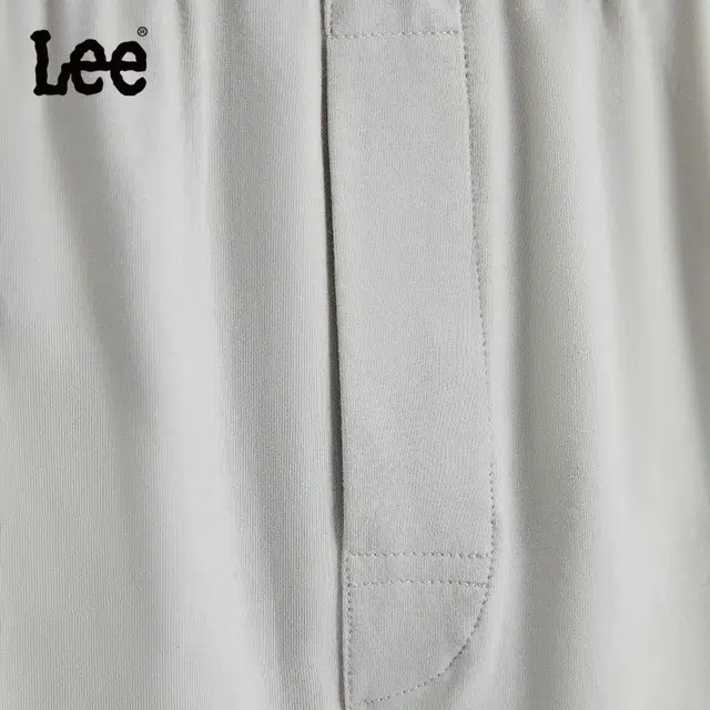 Lee 3