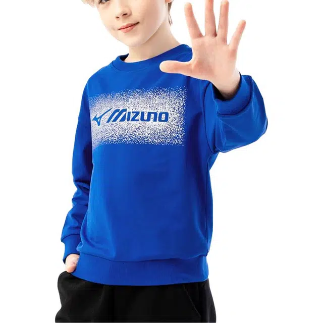 Mizuno