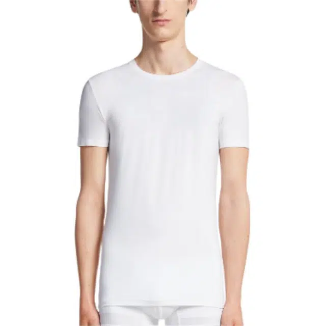 Zegna T