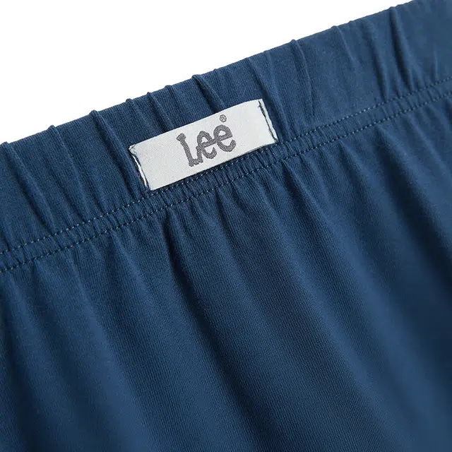 Lee 3