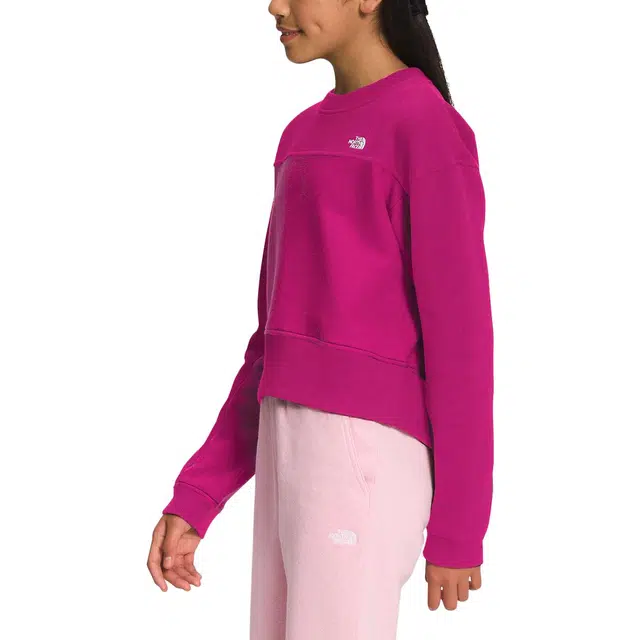THE NORTH FACE Loge