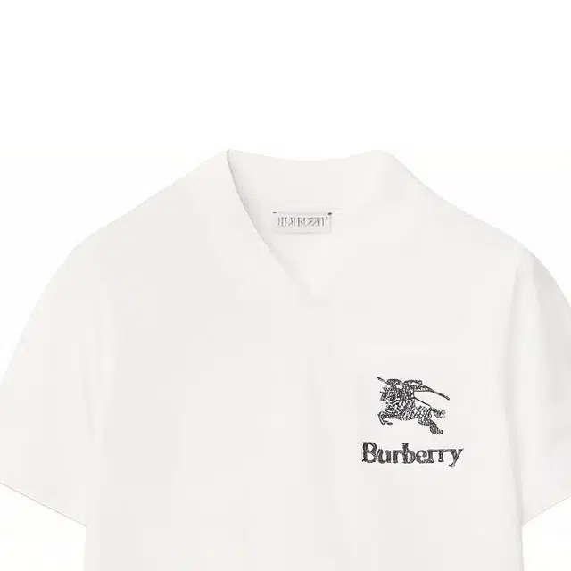 Burberry LogoVT