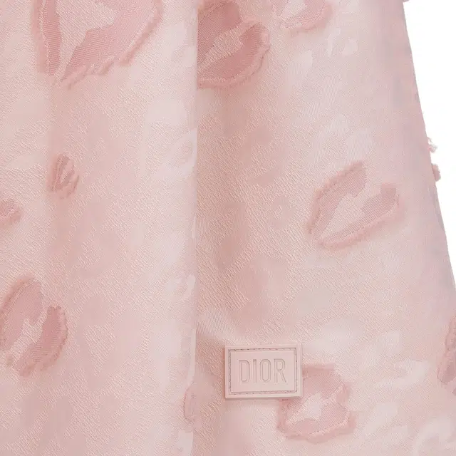 DIOR SS24 Logo