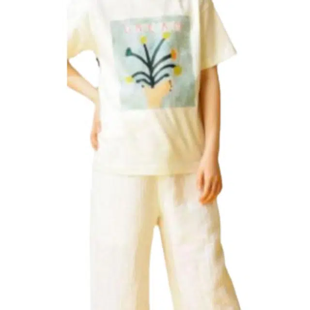 beams T