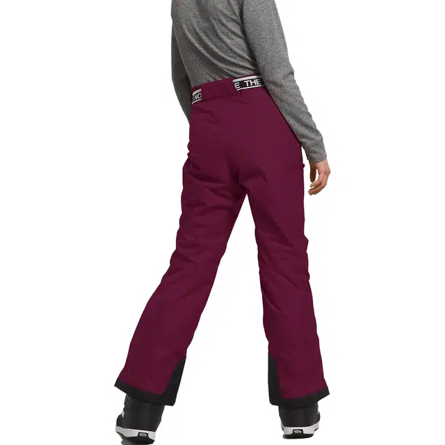 THE NORTH FACE Freedom Insulated Pants